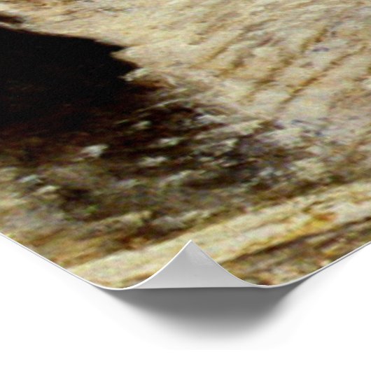 Een Uitzicht van Kongens Nytorv, Kopenhagen Poster (Hoek)