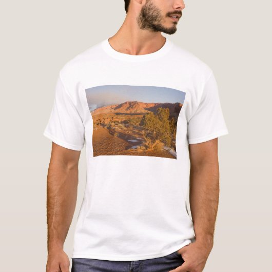 Een Utah-jeneverbes (Juniperus osteosperma) boom i T-shirt (Voorkant)
