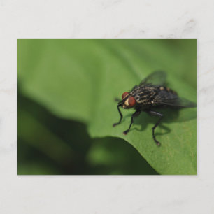 Een uur op een groen blad briefkaart