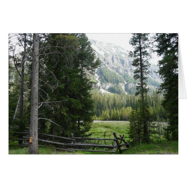 Een vallei in Yellowstone National Park (Voorkant Horizontaal)