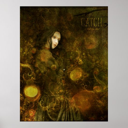 een vallende ster vangen poster (Voorkant)