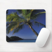 Een van de beste stranden ter wereld; Trunk Bay op Muismat (Met muis)