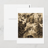 Een van de Lillies - Stereoview Briefkaart (Voorkant / Achterkant)