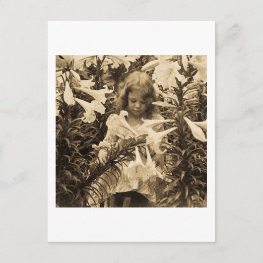 Een van de Lillies - Stereoview Briefkaart (Voorkant)