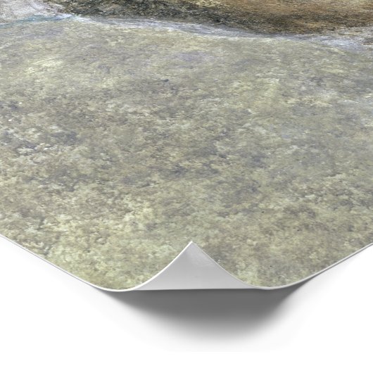 Een van de vier winden, detail van de poster (Hoek)