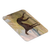 Een van de winnende greyhounds van George Lane Fox Magneet (Rechterzijde)