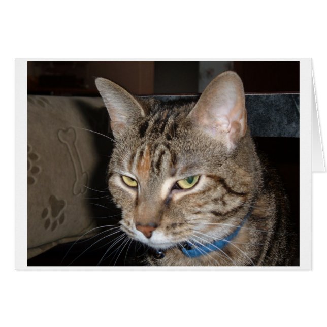 Eén van die dagen (Voorkant Horizontaal)