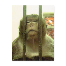 Een van die dagen....