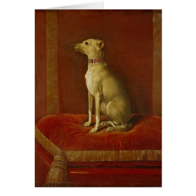 Een van Frederick II's Italiaanse greyhounds (Voorkant)