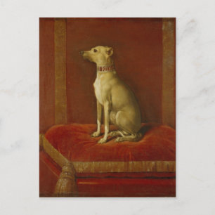 Een van Frederick II's Italiaanse greyhounds Briefkaart