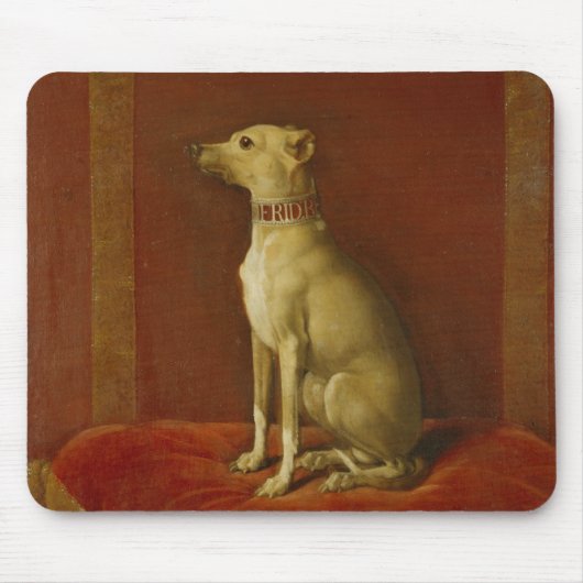 Een van Frederick II's Italiaanse greyhounds Muismat (Voorkant)