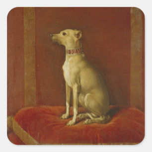 Een van Frederick II's Italiaanse greyhounds Vierkante Sticker