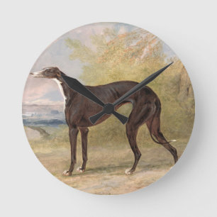Een van George Lane Fox's winnende grayhounds: B Ronde Klok