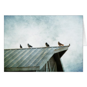 Eén van hen hoort niet thuis