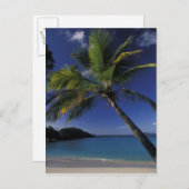 Een van 's werelds beste stranden; Trunk Bay op Briefkaart (Voorkant / Achterkant)