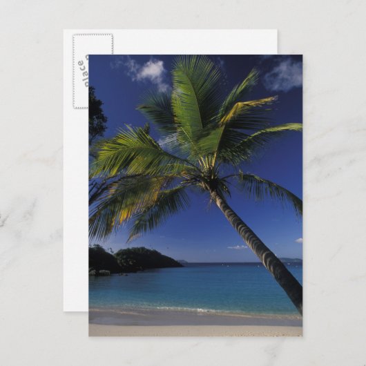 Een van 's werelds beste stranden; Trunk Bay op Briefkaart (Voorkant / Achterkant)