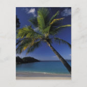 Een van 's werelds beste stranden; Trunk Bay op Briefkaart (Voorkant)