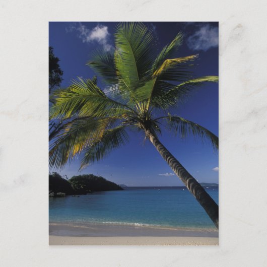 Een van 's werelds beste stranden; Trunk Bay op Briefkaart (Voorkant)