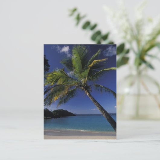 Een van 's werelds beste stranden; Trunk Bay op Briefkaart (Staand voorkant)