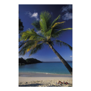 Een van 's werelds beste stranden; Trunk Bay op Foto Afdruk