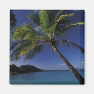 Een van 's werelds beste stranden; Trunk Bay op Magneet