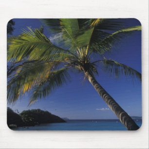 Een van 's werelds beste stranden; Trunk Bay op Muismat