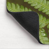 Een varendetail, uit Mindo Cloud Forest, Muismat (Hoek)