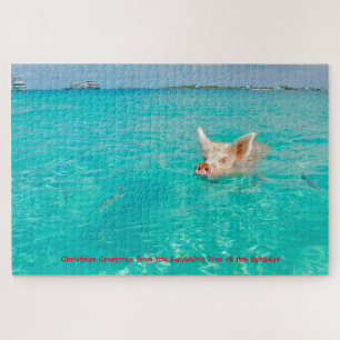 Een varken zwemt in de Bahama's. Legpuzzel