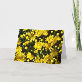 Een veelheid van gele mama's bedankkaart