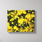 Een veelheid van gele mama's canvas afdruk (Voorkant)