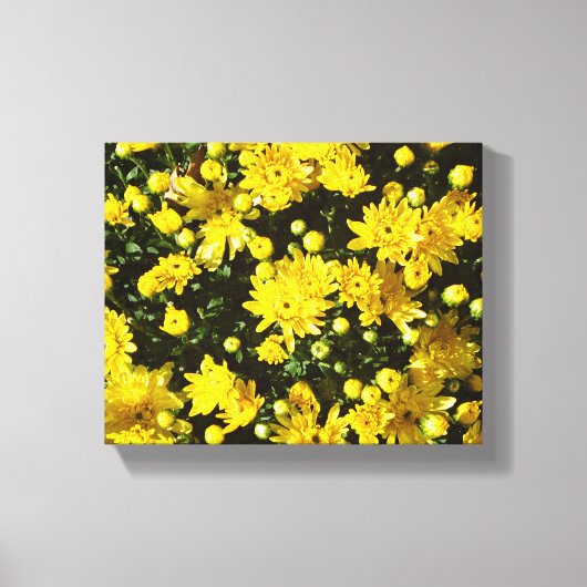 Een veelheid van gele mama's canvas afdruk (Voorkant)