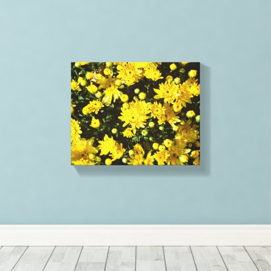 Een veelheid van gele mama's canvas afdruk (Insitu (Houten vloer))