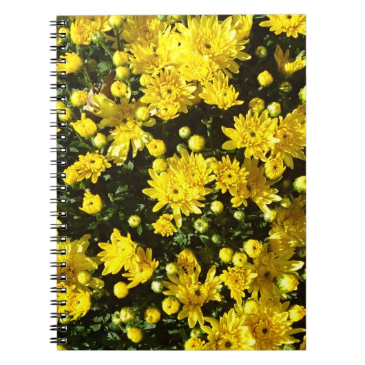 Een veelheid van gele mama's notitieboek (Voorkant)