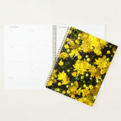 Een veelheid van gele mama's planner (Display)