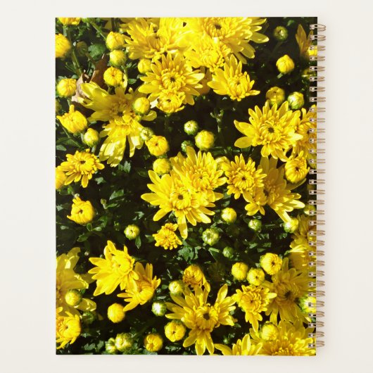 Een veelheid van gele mama's planner (Achterkant)