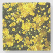 Een veelheid van gele mama's stenen onderzetter (Voorkant)