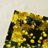 Een veelheid van gele mama's strandlaken (In situ)