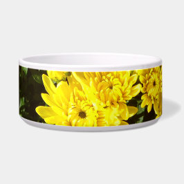 Een veelheid van gele mama's voerbakje