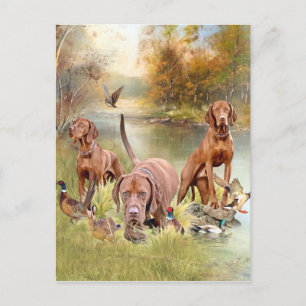 Een veelzijdige aristocraat in de Hongaarse Vizsla Feestdagenkaart