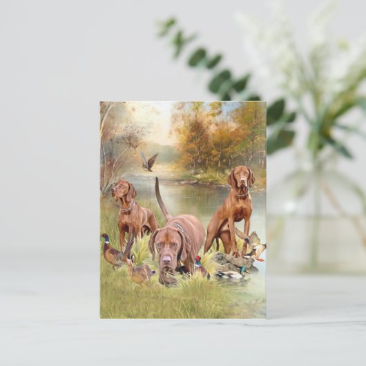 Een veelzijdige aristocraat in het Hongaarse Visla Briefkaart (Staand voorkant)