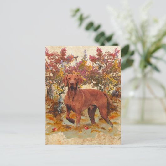 Een veelzijdige aristocraat in het Hongaarse Visla Feestdagenkaart (Staand voorkant)