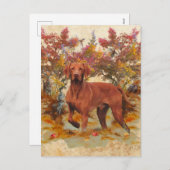 Een veelzijdige aristocraat in het Hongaarse Visla Feestdagenkaart (Voorkant / Achterkant)