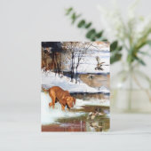 Een veelzijdige aristocraat in het Hongaarse Visla Feestdagenkaart (Staand voorkant)