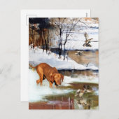 Een veelzijdige aristocraat in het Hongaarse Visla Feestdagenkaart (Voorkant / Achterkant)