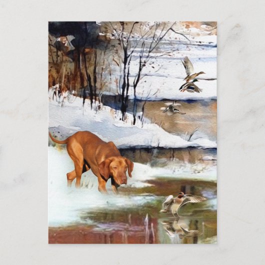 Een veelzijdige aristocraat in het Hongaarse Visla Feestdagenkaart (Voorkant)