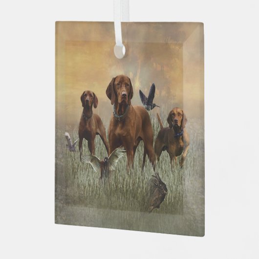 Een veelzijdige aristocraat in het Hongaarse Visla Glas Ornament (Voorkant links)