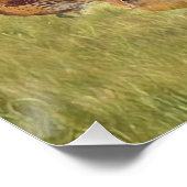 Een veelzijdige aristocraat in het Hongaarse Visla Perfect Poster (Hoek)