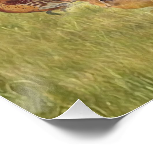 Een veelzijdige aristocraat in het Hongaarse Visla Perfect Poster (Hoek)