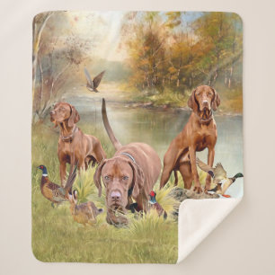 Een veelzijdige aristocraat in het Hongaarse Visla Sherpa Deken