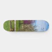 Een veerseizoen persoonlijk skateboard (Horizontaal)